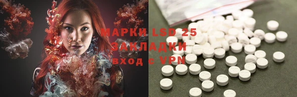 ГАЛЛЮЦИНОГЕННЫЕ ГРИБЫ Алексеевка