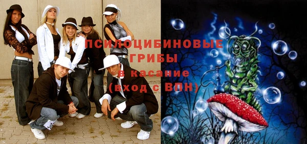 тгк Алексин