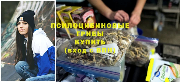 ГАЛЛЮЦИНОГЕННЫЕ ГРИБЫ Алексеевка