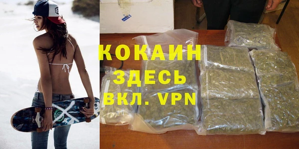 тгк Алексин