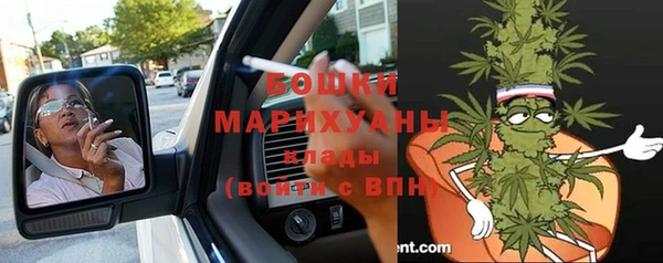 ГАЛЛЮЦИНОГЕННЫЕ ГРИБЫ Алексеевка