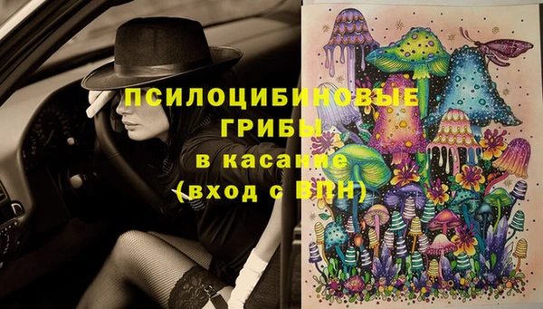 ГАЛЛЮЦИНОГЕННЫЕ ГРИБЫ Алексеевка