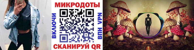 Галлюциногенные грибы прущие грибы Богородск