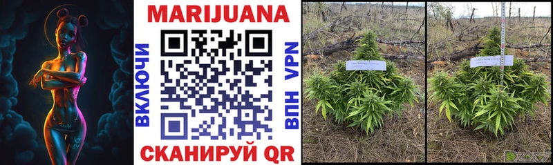 блэк спрут ONION Богородск Марихуана OG Kush